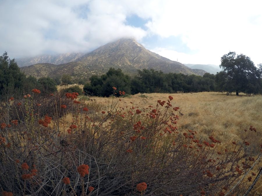 El Cajon Mountain, south face